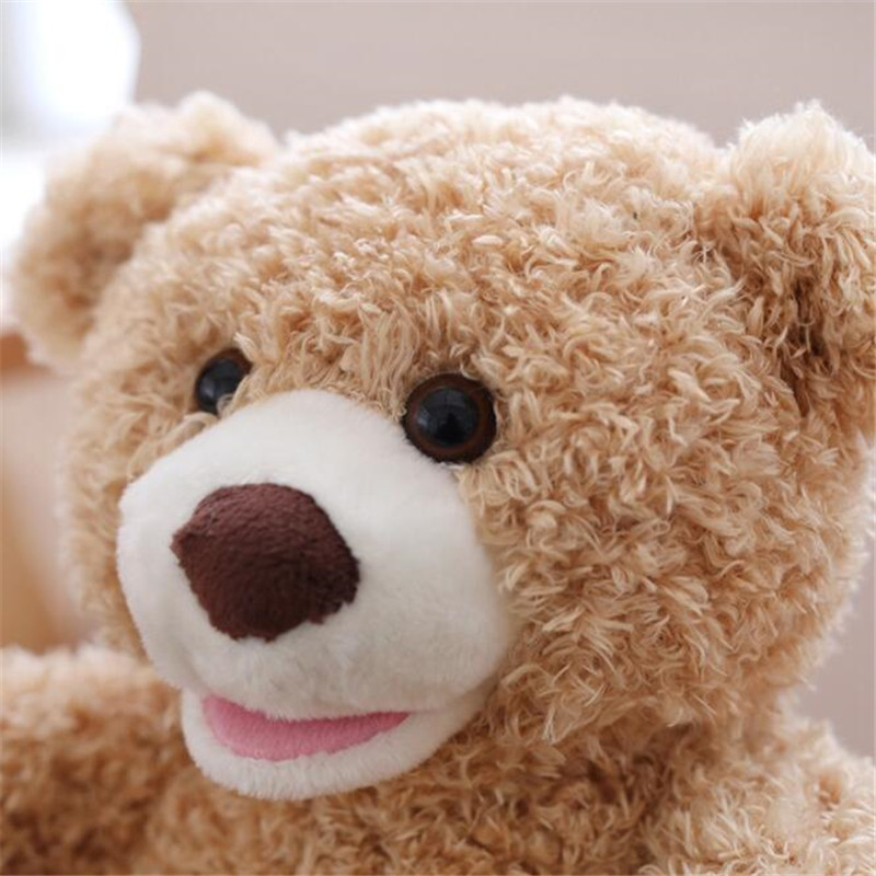 Peek A Boo Teddy Bear Toy